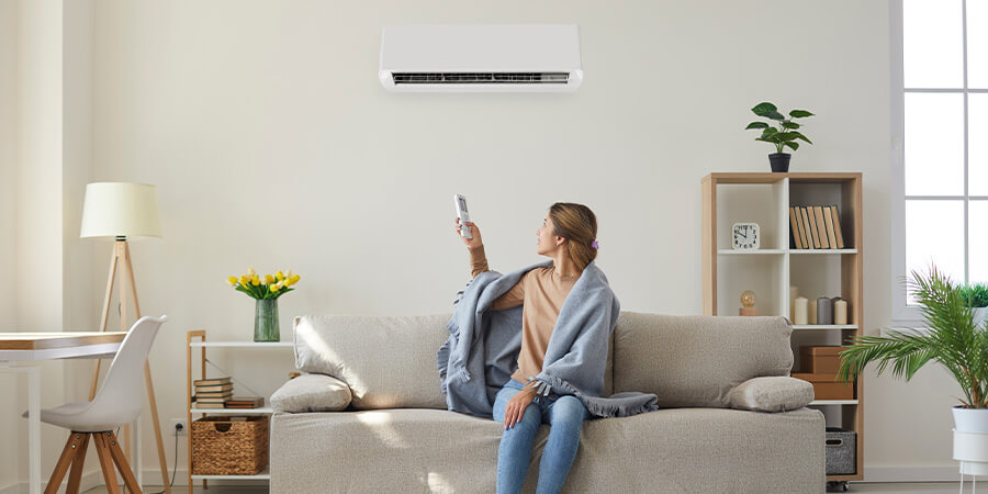 mini-split air conditioner above couch